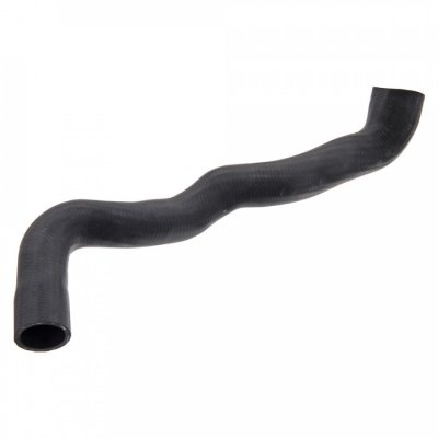 FEBI BILSTEIN  Durite de radiateur 36139