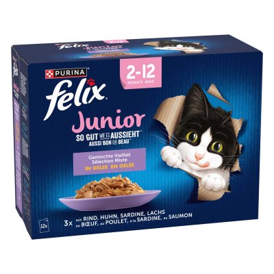 FELIX  ""Aussi bon que beau"" Junior s&eacute;lection mixte - lot % : 24 x 85 g