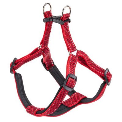 FERPLAST  ARNES Daytona Deluxe Medium Rojo