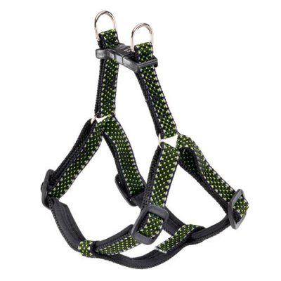 FERPLAST  ARNES Daytona Deluxe Petit Vert