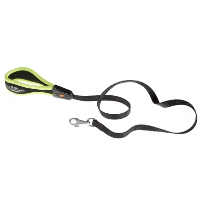 FERPLAST  Ergofluo G20/120 Laisse Chien 20 mm X L 120 cm Vert