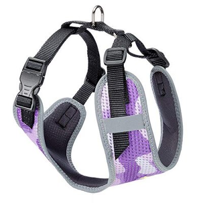 FERPLAST  Nikita Fashion Harness Violet M
