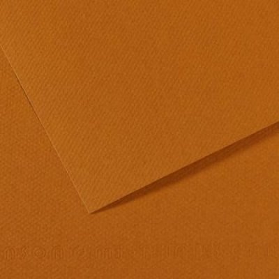 CANSON Feuille &agrave; dessins mi-teinte -  - 160g - 50x65 - Havane Clair