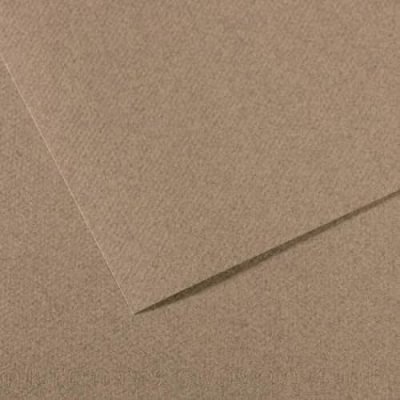 CANSON Feuille  MI-TEINTES 50X65 160g gris chin&eacute; 431