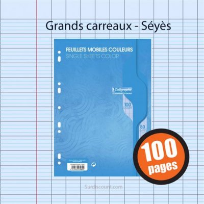 CLAIREFONTAINE Feuille simple bleu  A4 grand carreaux 80g - sachet de 50