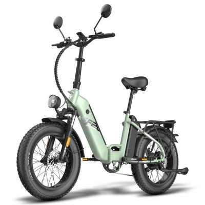 FAFREES FF20 Polar V&eacute;lo Electrique - Moteur 500W Batterie 48V13.4AH*2 Pneus 20 Pouces - Vert