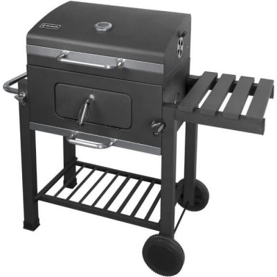 FIELDMANN  FZG 1008 barbecue charbon noir surface 55 6x41 5 cm