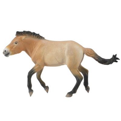 COLLECTA Figurine cheval : przewalski &eacute;talon figurines 