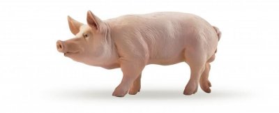 PAPO Figurine cochon HAB3465000510442
