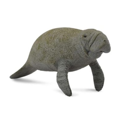 COLLECTA Figurine   Animaux marins (L): LAMANTIN 14,5x4,5x7cm-