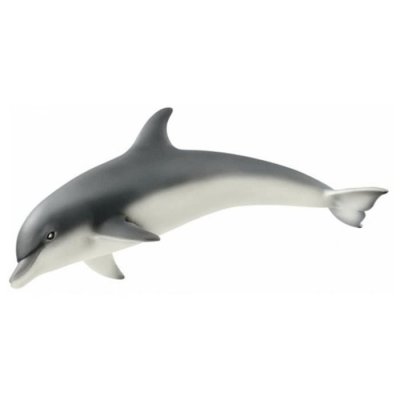 SCHLEICH Figurine Dauphin Multicolore 