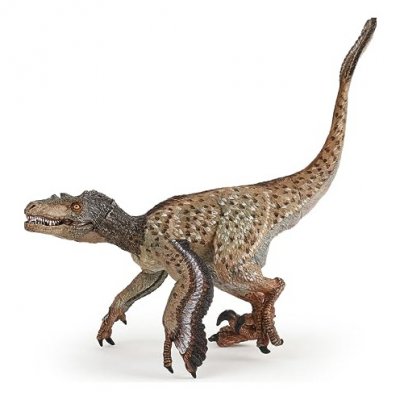 PAPO Figurine Dinosaure Velociraptor a plumes 