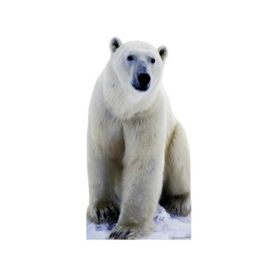 GENERIQUE Figurine en carton Ours polaire 176 cm