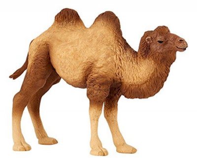PAPO Figurine  Bactriane De Chameau 