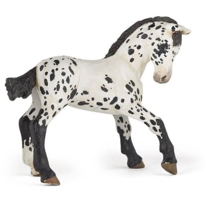 PAPO Figurine  Poulain Appaloosa Noir 