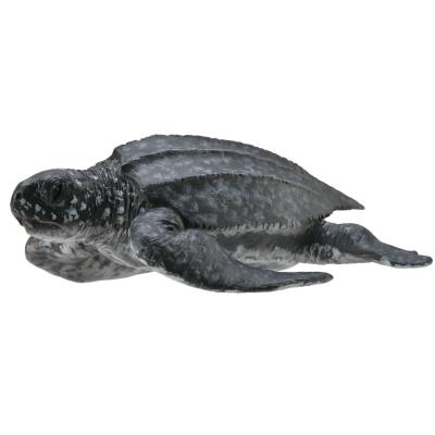 COLLECTA Figurine tortue luth figurines  