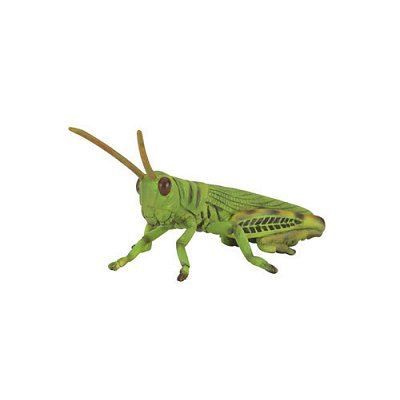 COLLECTA Figurines  - Insecte - Sauterelle 