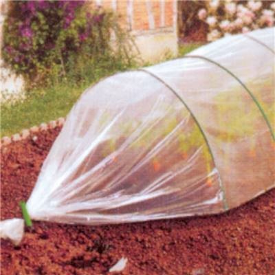 CELLOPLAST Film for&ccedil;age pour primeurs - 10x2 m - Intermas Gardening