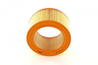 BOSCH Filtre a  air  1 987 429 125 (X1)