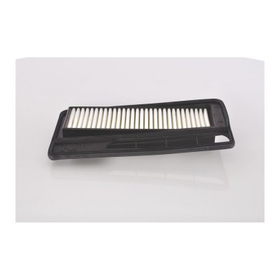 BOSCH Filtre a  air  1 987 429 173 (X1)