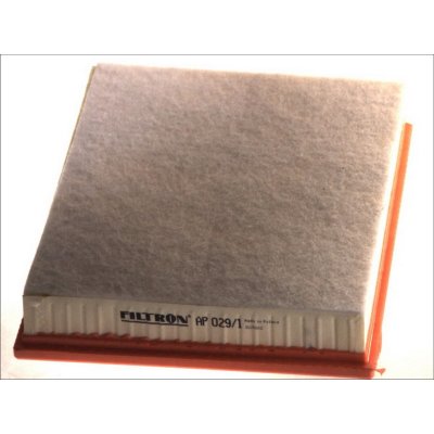 FILTRON Filtre a  air  AP 029/1 (X1)