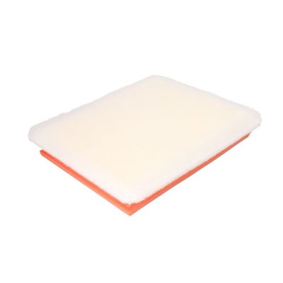 FILTRON Filtre a  air  AP 051/6 (X1)