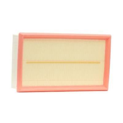 FILTRON Filtre a  air  AP 074/1 (X1)