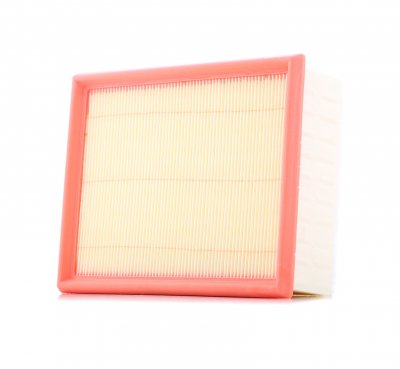 FILTRON Filtre a  air  AP 080/7 (X1)