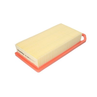 FILTRON Filtre a  air  AP 090/4 (X1)