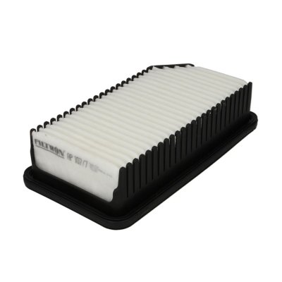 FILTRON Filtre a  air  AP 107/7 (X1)