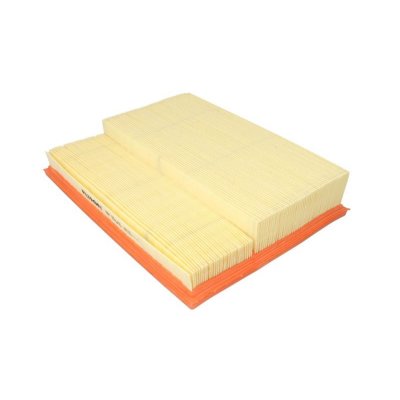 FILTRON Filtre a  air  AP 118/6 (X1)