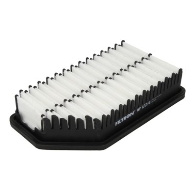 FILTRON Filtre a  air  AP 122/8 (X1)
