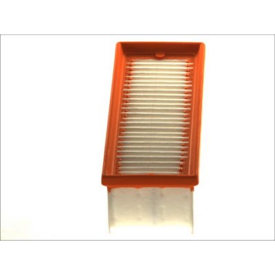 FILTRON Filtre a  air  AP 134/9 (X1)