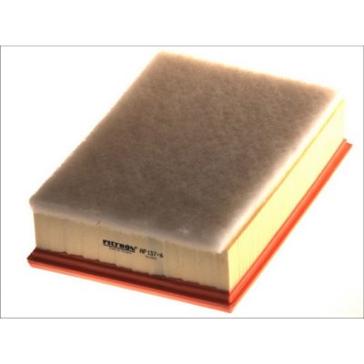 FILTRON Filtre a  air  AP 137/6 (X1)