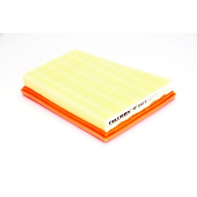 FILTRON Filtre a  air  AP 150/1 (X1)
