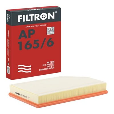 FILTRON Filtre a  air  AP 165/6 (X1)
