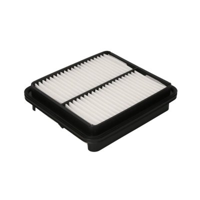 FILTRON Filtre a  air  AP 173/1 (X1)
