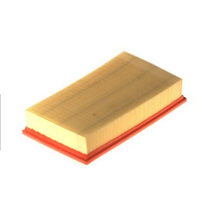 FILTRON Filtre a  air  AP 193/5 (X1)
