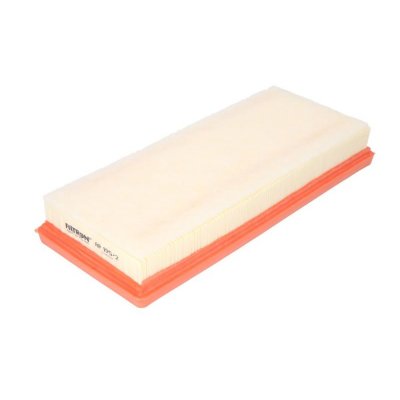 FILTRON Filtre a  air  AP 195/2 (X1)