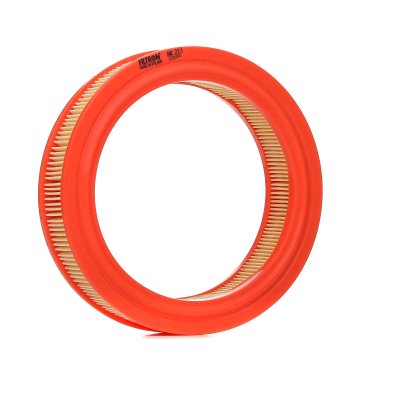 FILTRON Filtre a  air  AR 213 (X1)