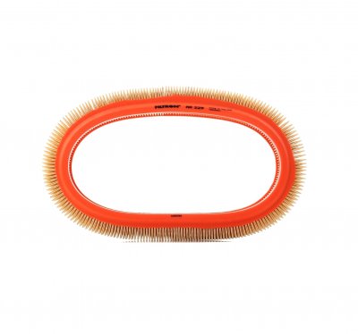 FILTRON Filtre a  air  AR 229 (X1)