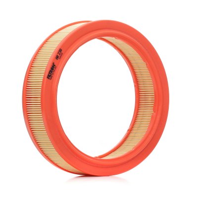 FILTRON Filtre a  air  AR 230 (X1)