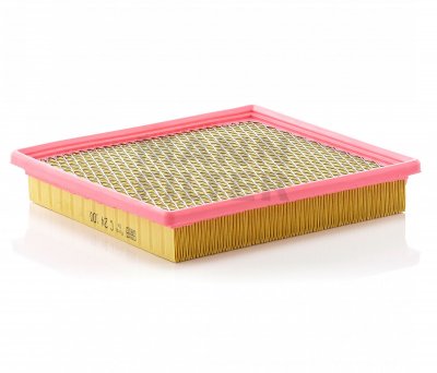 Filtre a  air MANN-FILTER C 24 100 (X1)