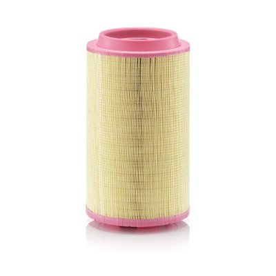MANN FILTER Filtre a  air MANN-FILTER C 24 745/3 (X1)