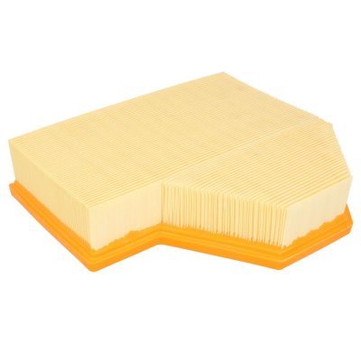MANN FILTER Filtre a  air MANN-FILTER C 25 111 (X1)