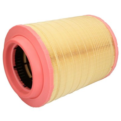 MANN FILTER Filtre a  air MANN-FILTER C 25 660/2 (X1)