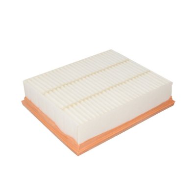 MANN FILTER Filtre a  air MANN-FILTER C 2548 (X1)