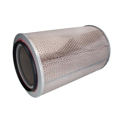 MANN FILTER Filtre a  air MANN-FILTER C 30 850/2 (X1)