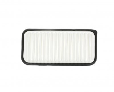 PURFLUX Filtre a  air  A1107 (X1)