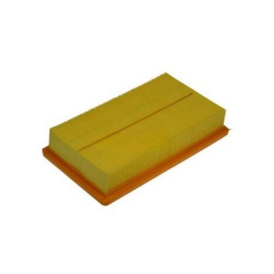 PURFLUX Filtre a  air  A1116 (X1)